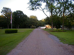 Kennel Driveway - Click to Enlarge, close window when done